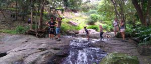 Westville Eco-Trail